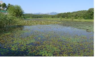 석호(潟湖, Lagoon)