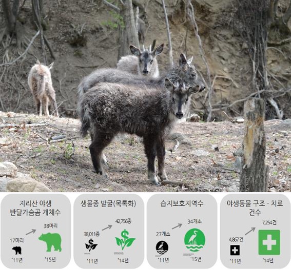 “야생생물과 공존, 생명의 한반도 구현”