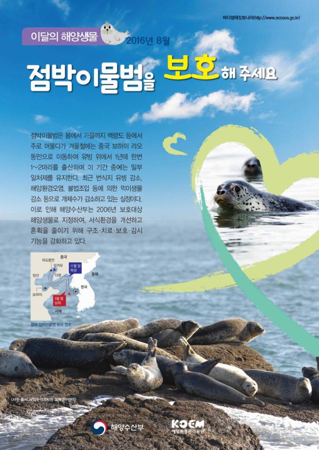 해수부, 8월의 해양생물로 ‘점박이물범’ 선정
