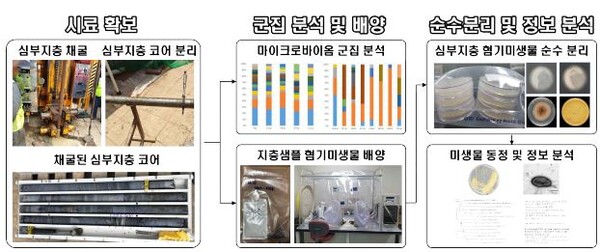 심부지층 시료 채굴 및 미생물 분리・배양 과정.