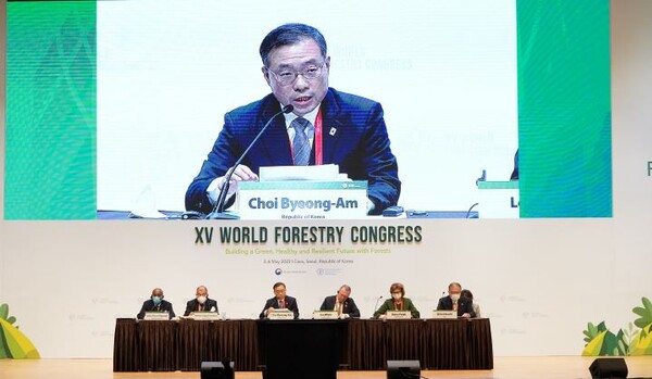 최병암 산림청장이 3일 열린 지속가능한 목재에 관한 장관급 포럼에서 우리나라 지속가능한 목재 이용 주요정책을 소개하고 있다.