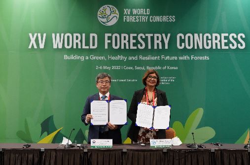 산림청이 유엔식량농업기구(FAO)와의 새로운 협력사업인 ‘통합산림위험관리(AFFRIM) 메커니즘’을 통해 개도국의 산림재해대응 역량강화를 본격 지원하기로 했다.