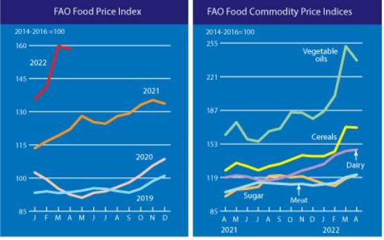 식량가격지수 그래프, 좌측 연도별, 우축 품목별.