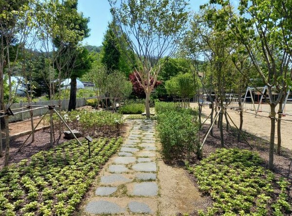 공주시 신풍초등학교 내에 조성한 학교숲.