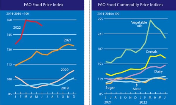 연도별(좌), 품목별(우) 식량가격지수 그래프.