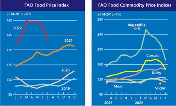 식량가격지수 그래프(연도별 ․ 품목별).