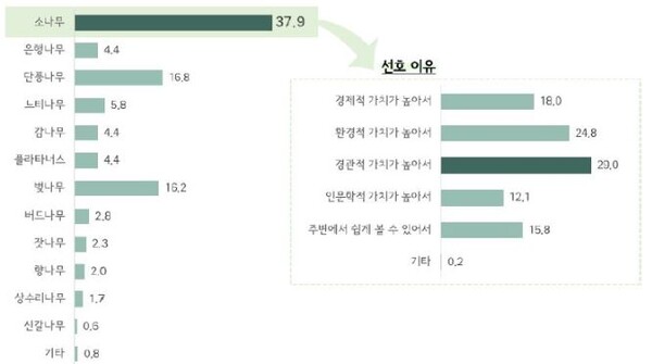 선호하는 나무 및 소나무를 선호하는 이유.