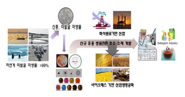 담수생물자원의 조사·발굴 및 소재 발굴 흐름도.