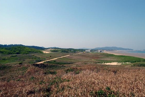 천연기념물로 지정돼 보호되고 있는 태안 신두리 해안사구.