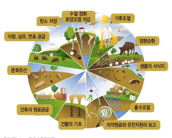 흙의 기능(FAO, 전세계 육지기준).