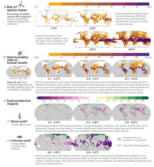 1850~1900년 대비 다양한 지구온난화 수준에서 자연 및 인간 시스템에 대한 기후변화의 리스크 및 영향. 그림 (a): 다양한 지구온난화 수준에서의 1850~2005년대 연평균 온도의 최대값을 넘어서는 조건에 노출되는 종의 비율에 관한 리스크. 그림 (b): 극한 기온과 습도를 사용한 지구온난화 수준에서 인간 건강의 리스크. 그림(c): 식품 생산에 미치는 영향으로, (c1)은 각 해당 온난화 수준에서 1986~2005년 대비 2080~2099년 옥수수 생산량의 변화를, (c2)는 각 해당 온난화 수준에서 1986~2005년 대비 2081~2099년까지 최대 어업 어획 잠재력의 변화를 나타낸다.