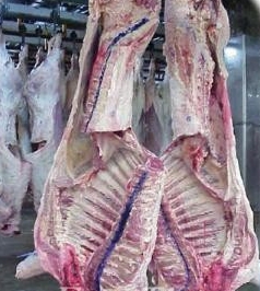 미국산 쇠고기(자료사진).