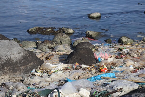 필리핀 불란(Bulan)지역 어항의 해양쓰레기.