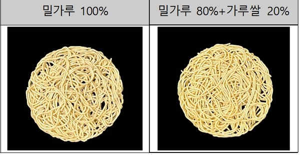 밀가루 100%와 밀가루 80%+가루쌀 20% 라면 비교.