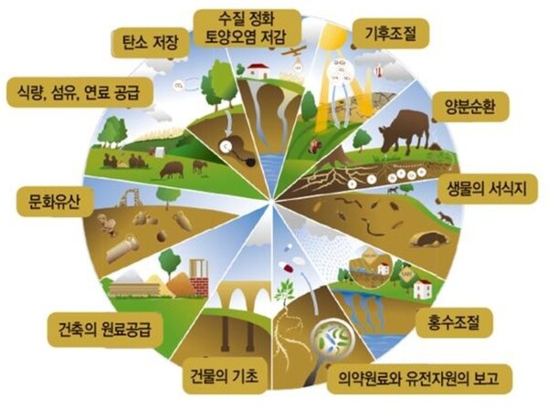흙의 기능(FAO, 전세계 육지기준).