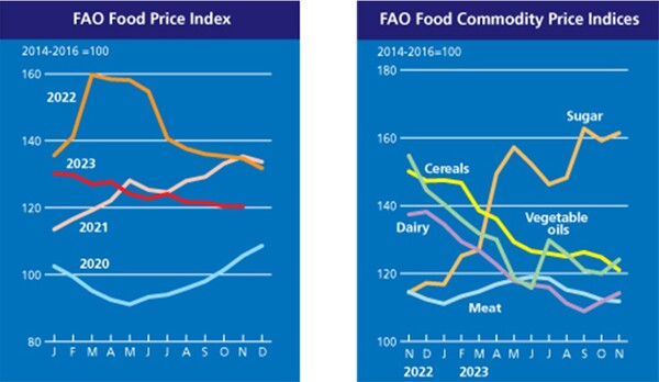 연도별(좌), 품목별(우) 식량가격지수 그래프.