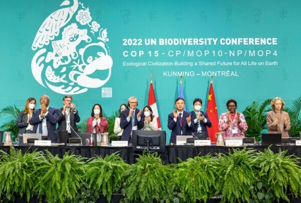 2022년 12월 20일 캐나다 몬트리올에서 열린 제15차 생물다양성협약 당사국총회(COP15)에서 전지구적 생물다양성 전략계획인 '쿤밍-몬트리올 글로벌 생물다양성 프레임워크(GBF)'가 채택됐다. 사진=생물다양성협약 사무국
