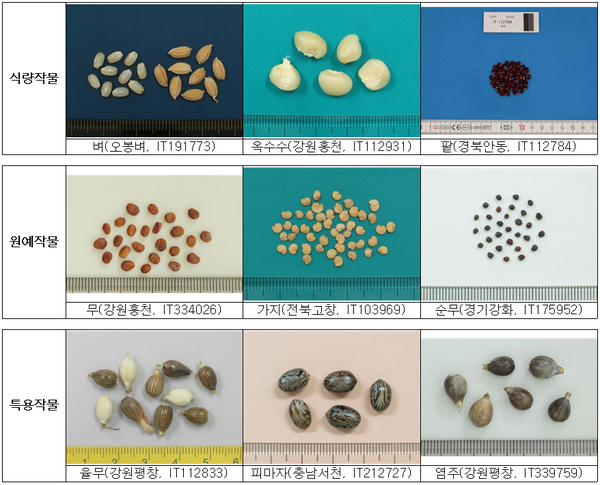 토종 종자 4,000자원 ‘최후의 날 저장고’ 입고